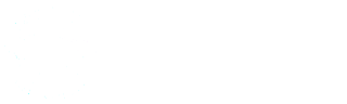 Systemic Standards Logo